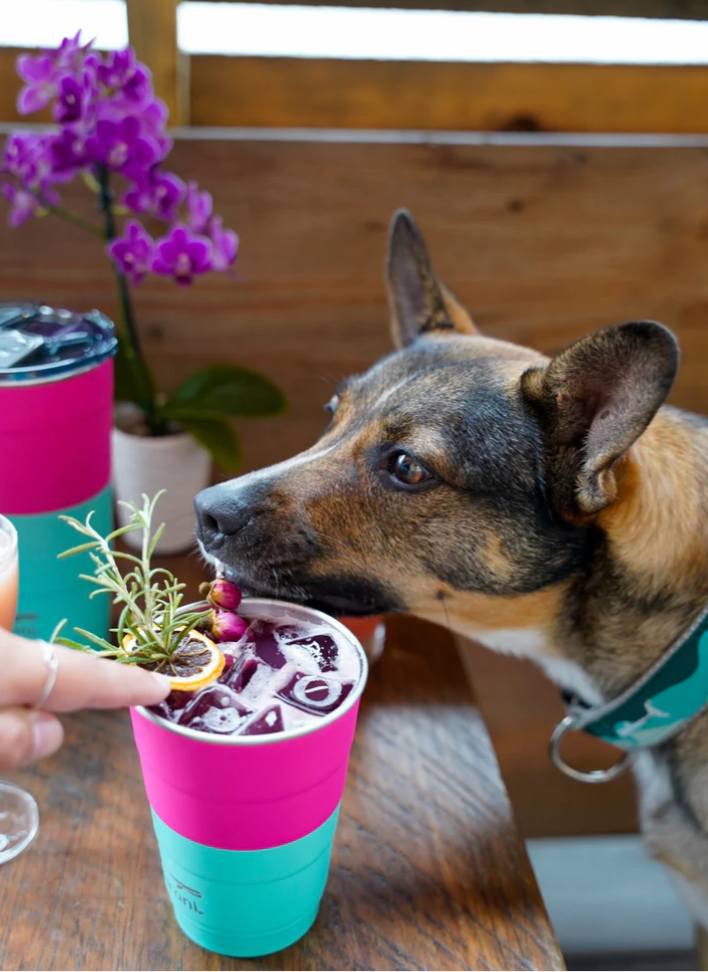 16oz Duo-Tone Insulated Stackable Tumbler